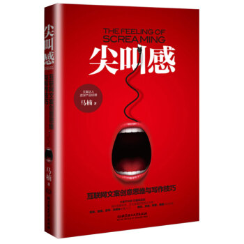 尖叫感:互聯網文案創意思維與寫作技巧