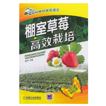 包郵 棚室草莓栽培 農業 林業 林業 草莓種植戶 相關技術人員使用 育苗技術 栽培管理 pdf epub mobi 電子書 下載