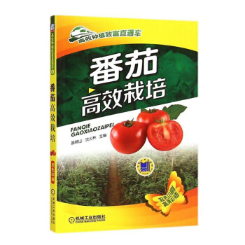 番茄高效栽培 番茄种植技术书籍 西红柿栽培技术大全书籍 番茄病虫害防治 农业种植技术书籍 pdf epub mobi 电子书 下载