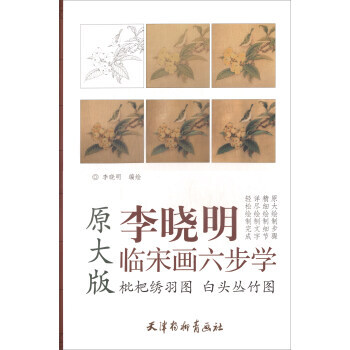 枇杷绣羽图 白头丛竹图(原大版)/李晓明临宋画六步学 pdf epub mobi 电子书 下载