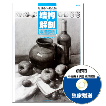 敲門磚素描靜物 結構+解剖 素描靜物書 結構素描靜物臨摹書素描基礎入門自學教程書 高考藝考