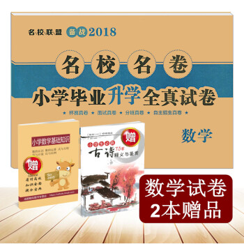 2018年小升初 名校名捲小學畢業升學全真試捲數學 杯賽 麵試 分班 自主招生真捲四川十大 pdf epub mobi 電子書 下載