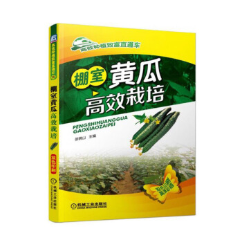 棚室黄瓜栽培 大棚栽培技术知识大全书籍 大棚栽培技术参考书籍 种黄瓜书籍蔬菜种植书