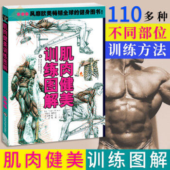 肌肉健美訓練圖解(新版) 體育運動 保健養生 運動健康 健身技巧指導 健身訓練方法 鍛煉肌肉 健美 pdf epub mobi 電子書 下載