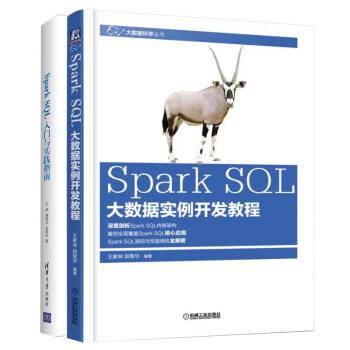 包郵Spark SQL大數據實例開發教程+入門與實踐指南 數據存儲管理分析書籍
