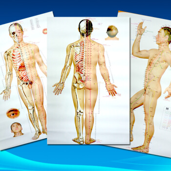 针灸穴位挂图(1)(2)(3) 145433.2451 pdf epub mobi 电子书 下载