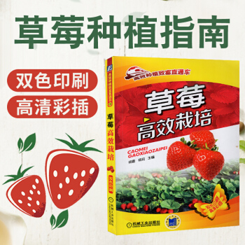 草莓高效栽培 大棚暖棚草莓種植技術大全書籍 草莓病蟲害診斷與防治技術書 草莓育苗技術種植 pdf epub mobi 電子書 下載