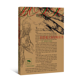 伯裏曼人體結構全書 藝術繪畫技巧 人體結構造型手繪技法藝考用書 素描速寫 廣西美術齣版社