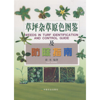 草坪杂草磈鉴及防除指南 9787109128170 薛光著-ZJ pdf epub mobi 电子书 下载