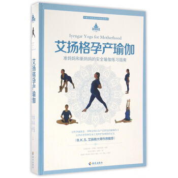 艾扬格孕产瑜伽(中国艾扬格瑜伽学院指定教材)(精) pdf epub mobi 电子书 下载