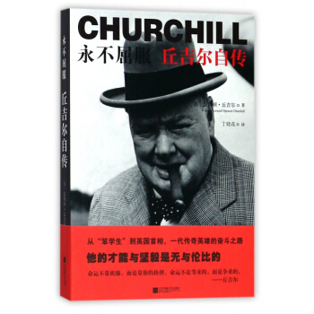 永不屈服(丘吉尔自传) pdf epub mobi 电子书 下载