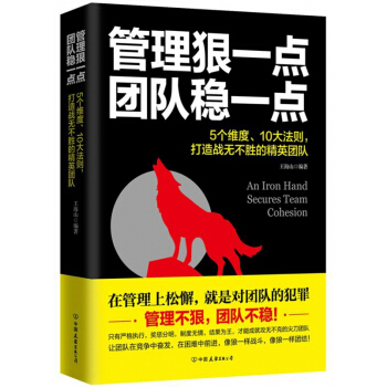 管理狠一點團隊穩一點 pdf epub mobi 電子書 下載