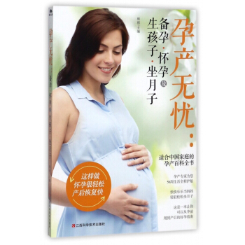 孕产无忧--备孕怀孕及生孩子坐月子 pdf epub mobi 电子书 下载