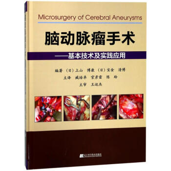 腦動脈瘤手術:基本技術及實踐應用 pdf epub mobi 電子書 下載