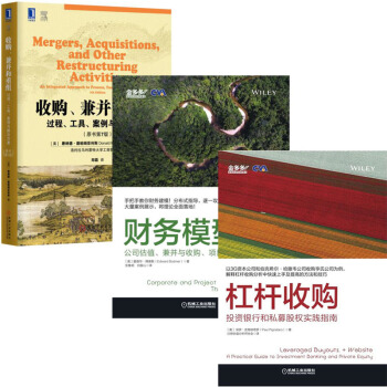 杠杆收購 投資銀行和私募股權實踐指南+財務模型：公司估值、兼並與收購項目融資+收購兼並和重組