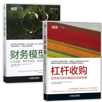 杠杆收購 投資銀行和私募股權實踐指南+財務模型：公司估值兼並與收購項目融資私募股權基金投資理財指 pdf epub mobi 電子書 下載