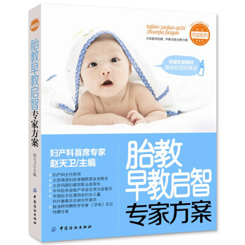 胎教早教启智专家方案 准妈妈书籍 怀孕胎教知识专家指导孕妈妈书胎教书 胎教指南图书 pdf epub mobi 电子书 下载