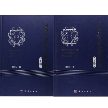 包郵 2本 網絡空間擬態防禦導論 上下冊 鄔江興 網絡空間安全領域學術界網絡空間安全研究生 2本 pdf epub mobi 電子書 下載
