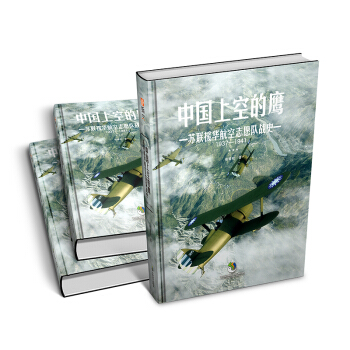 中国上空的鹰：苏联援华航空志愿队战史1937—1941（精装版） pdf epub mobi 电子书 下载