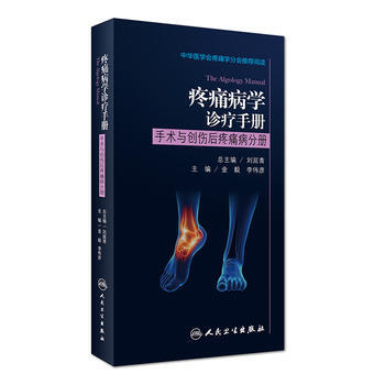 疼痛病学诊疗手册 手术与创伤后疼痛病分册 pdf epub mobi 电子书 下载