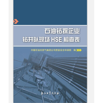 石油鑽探企業鑽井隊現場HSE檢查錶 pdf epub mobi 電子書 下載