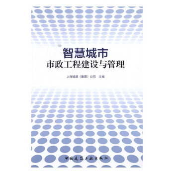 智慧城市市政工程建設與管理 建築 書籍 pdf epub mobi 電子書 下載