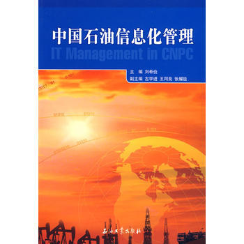 《中國石油信息化管理》 劉希儉, 石油工業齣版社 pdf epub mobi 電子書 下載