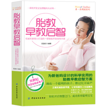 【第二件半价】胎教早教启智胎教早教启智方案智慧家庭书 pdf epub mobi 电子书 下载