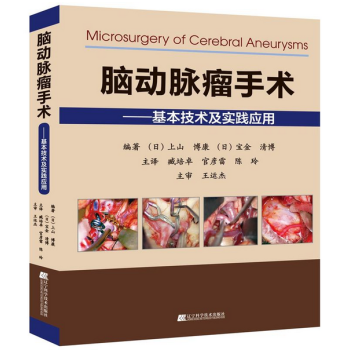 脑动脉瘤手术——基本技术及实践应用 pdf epub mobi 电子书 下载