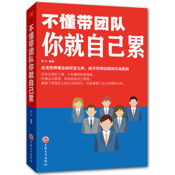 不懂带团队你就自己累 中层管理领导力提升 激励员工团队管理方面的书籍 pdf epub mobi 电子书 下载