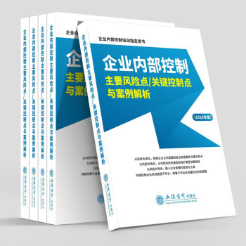 2018新版企業內部控製基本規範及配套指引案例講解 企業內部控製主要風險點 主要風險點、關鍵控製點與案例解析 pdf epub mobi 電子書 下載