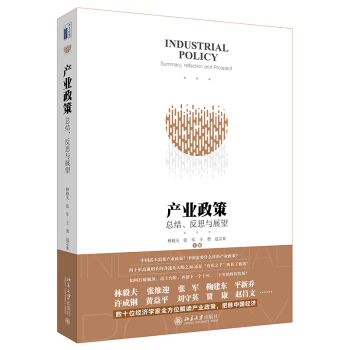 正版現貨 産業政策 總結反思與展望 林毅夫 産業政策升級轉型 中國經濟 政治金融學經濟學書籍 jg pdf epub mobi 電子書 下載