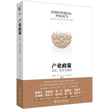 正版：産業政策：總結、反思與展望 9787301265437 pdf epub mobi 電子書 下載