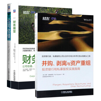 現貨兩冊 財務模型 公司估值 兼並與收購 項目融資+並購 剝離與資産重組 投資銀行和私募 pdf epub mobi 電子書 下載