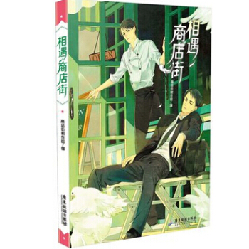 正版现货 相遇商店街 他和他的现实城市童话 男朋友的作者（TA和TA的“恋爱地图”，时下受 pdf epub mobi 电子书 下载