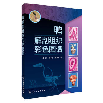 正版 鸭解剖组织彩色图谱 鸭子解剖书 动物医学兽医研究 鸭病预防诊断技术大全 饲养喂养指 pdf epub mobi 电子书 下载