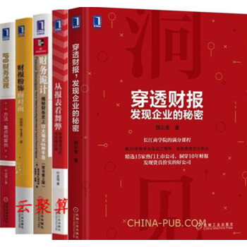 穿透财报 发现企业的秘密+从报表看舞弊 财务报表分析与风险识别+IPO财务透视方法+财报粉