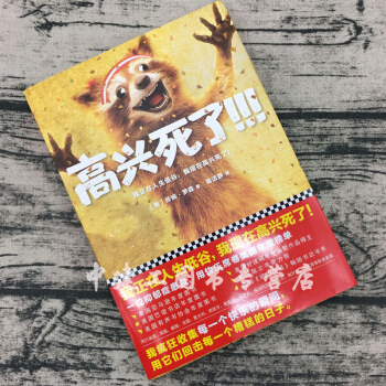 【正版包邮】高兴死了 珍妮罗森著 焦虑症抑郁症自我治疗书籍 幽默感人的散文故事集 外国文学畅销书籍