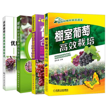 【全4册】设施葡萄优质高效栽培技术+棚室葡萄高效栽培+葡萄科学施肥与病虫害防治+葡萄合理整 pdf epub mobi 电子书 下载