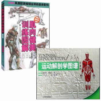 运动解剖学图谱(第3版)+肌肉健美训练图解 共2册 pdf epub mobi 电子书 下载