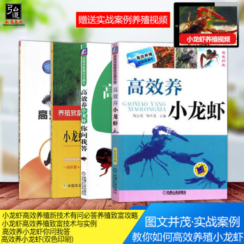 赠视频+在线答疑 小龙虾养殖技术大全书籍 高效养小龙虾 龙虾养殖致富技术与实例 小龙虾养殖技术疾病诊 pdf epub mobi 电子书 下载
