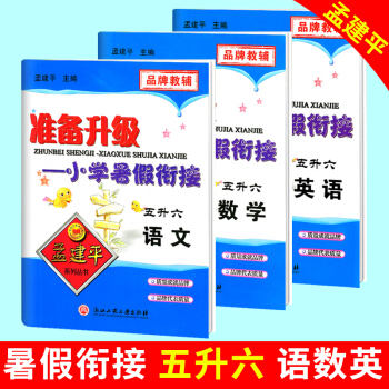 vb套装3本 孟建平五年级下册试卷 准备升级小学暑假衔接五升六 语文数学英语 五年级升六年 pdf epub mobi 电子书 下载
