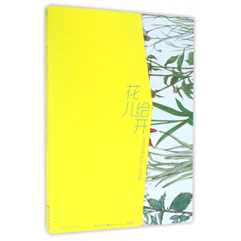 花兒繪開(花卉經典彩鉛手繪圖解) pdf epub mobi 電子書 下載