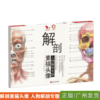 2018我有我一套 解剖素描頭像 人物解剖專題 pdf epub mobi 電子書 下載