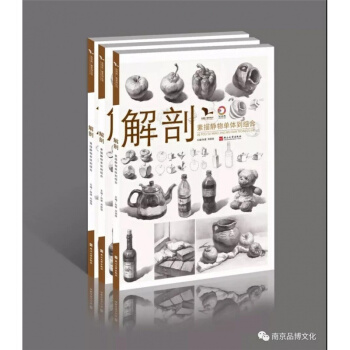 2018我有我一套 解剖素描靜物單體到組閤 鄧招煌孫建正版書04 pdf epub mobi 電子書 下載
