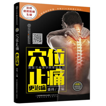 穴位止痛更治痛 漢竹 健康穴位按摩止痛法 中醫指導書 傢庭穴位查找寶典 穴位作用指導書 中醫書 圖書 pdf epub mobi 電子書 下載