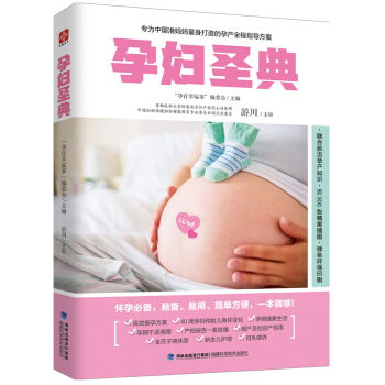 孕妇圣典 孕产/胎教 书籍