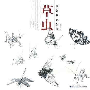 草虫/白描技法精解 pdf epub mobi 电子书 下载