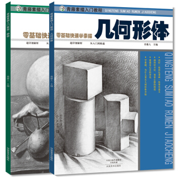 s2素描教程零基础入门套装2册正版快速学素描画册 几何形体素描书静物从入门到精通 速写绘画素描教材书 pdf epub mobi 电子书 下载