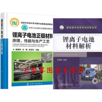 鋰離子電池材料解析+鋰離子電池正極材料 原理 性能與生産工藝 三元新能源汽車電池結構構造設 pdf epub mobi 電子書 下載